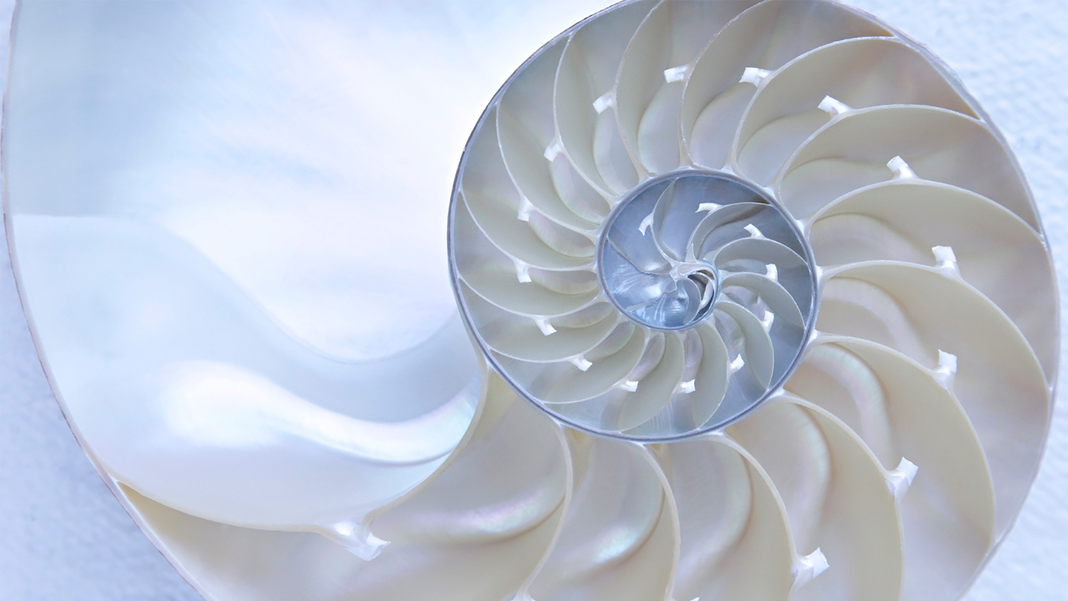 How nonprofits can structure inclusion practices for greater impact